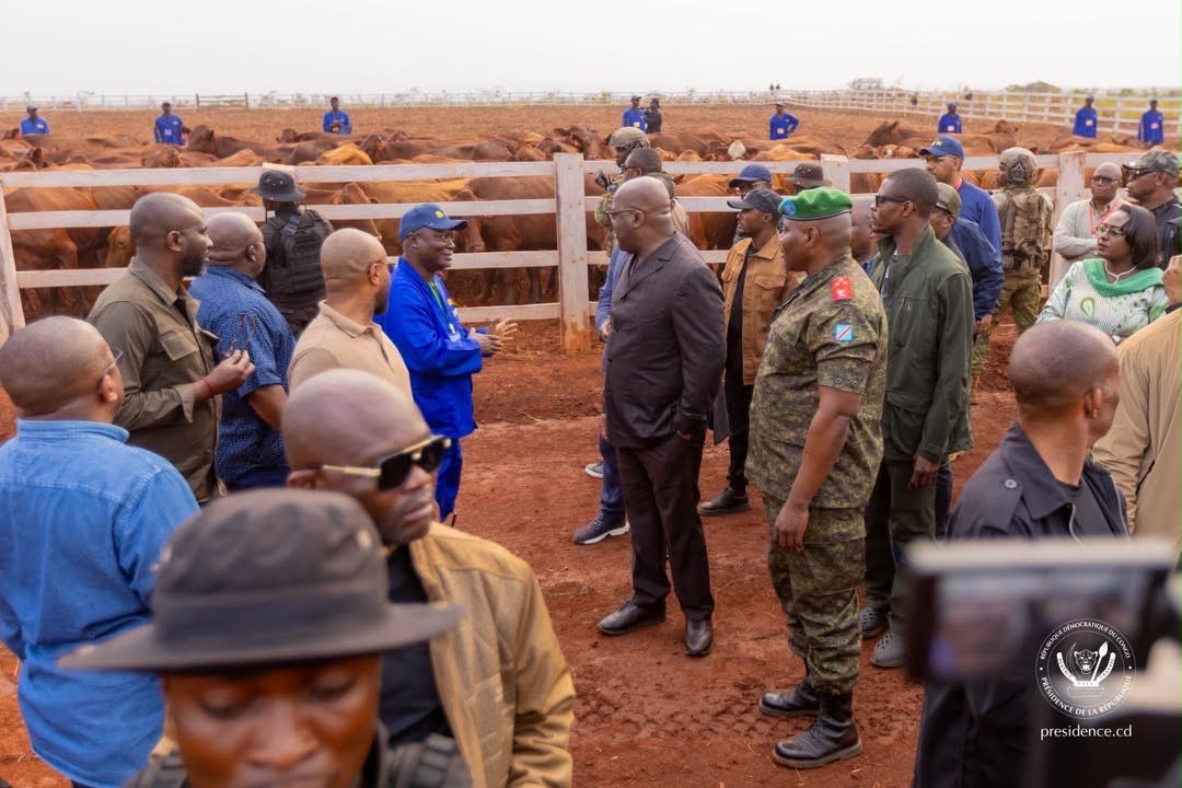 Le Président de la République, Félix-Antoine Tshisekedi Tshilombo, a effectué une visite d&rsquo;inspection stratégique au cœur du pôle agro-industriel de Kaniama-Kasese, dans la province du Haut-Lomami, ce vendredi 31 juillet 2026.